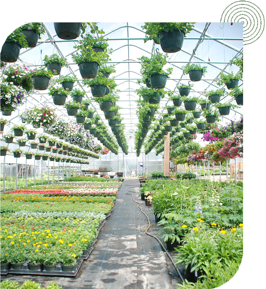 Mize Greenhouse & Garden Supply